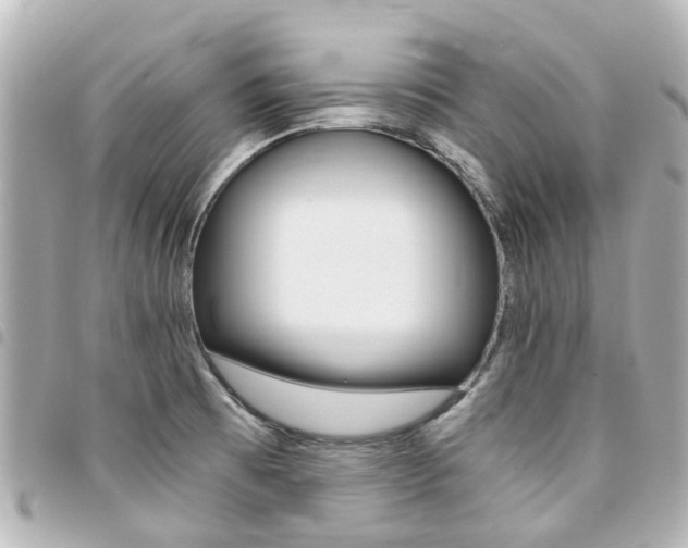 X0000094451473200711081036