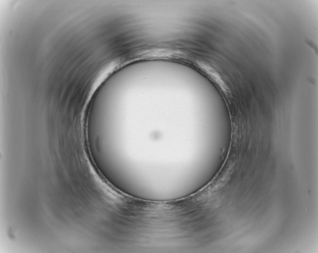 X0000094451475200711081036
