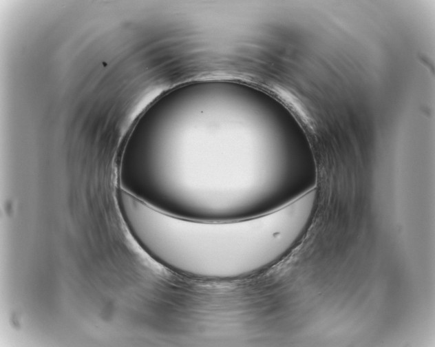 X0000094451476200711081036