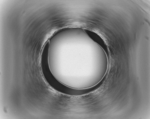 X0000094451477200711081036