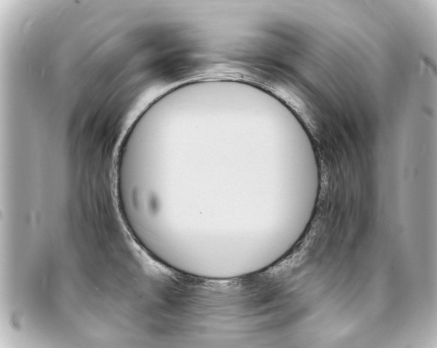 X0000094451478200711081036