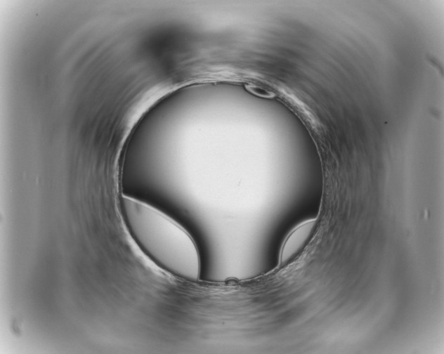 X0000094451479200711081036