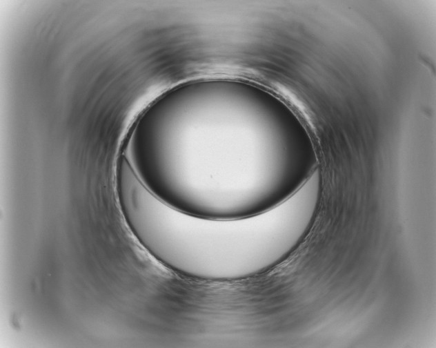 X0000094451480200711081036
