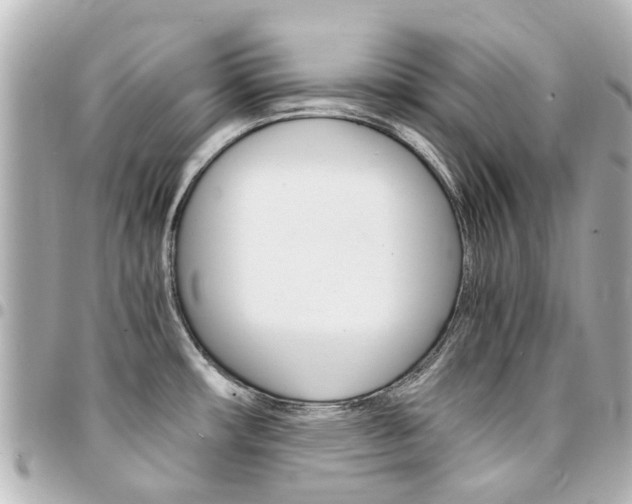 X0000094451482200711081036