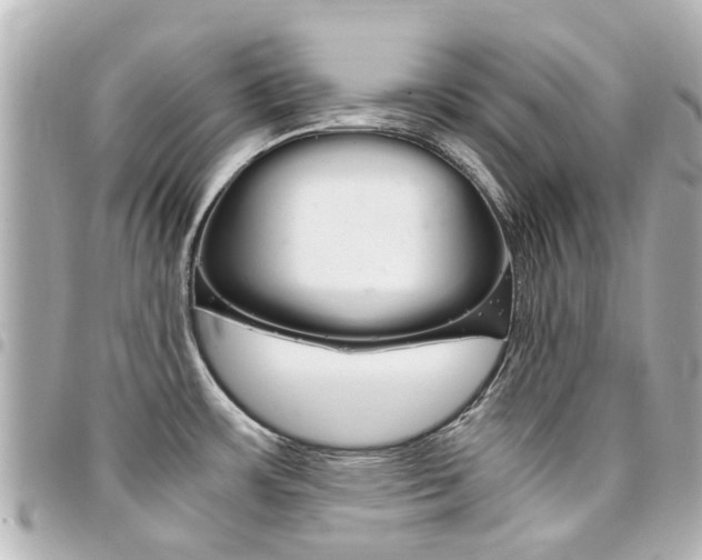X0000094451483200711081036