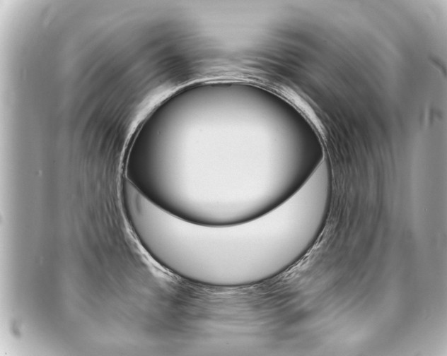 X0000094451485200711081036