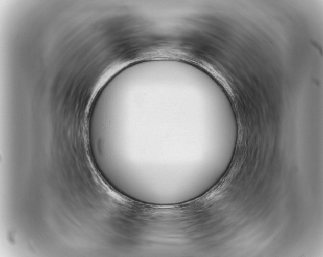 X0000094451486200711081036