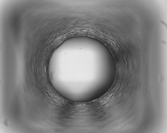 X0000094451489200711081035