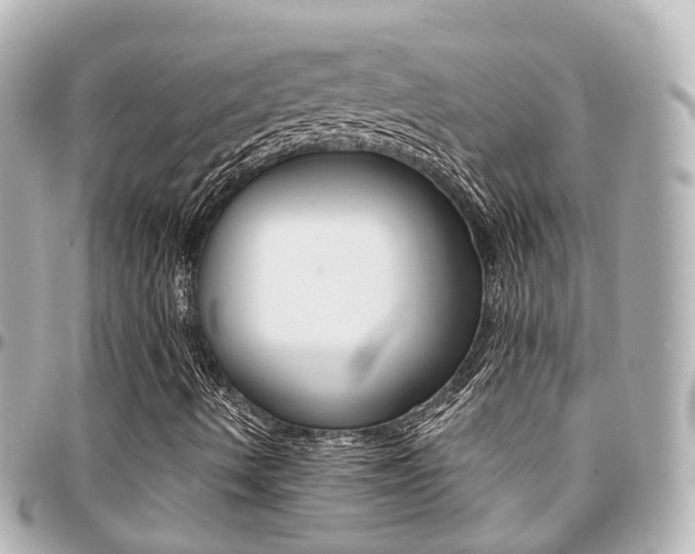 X0000094451490200711081036