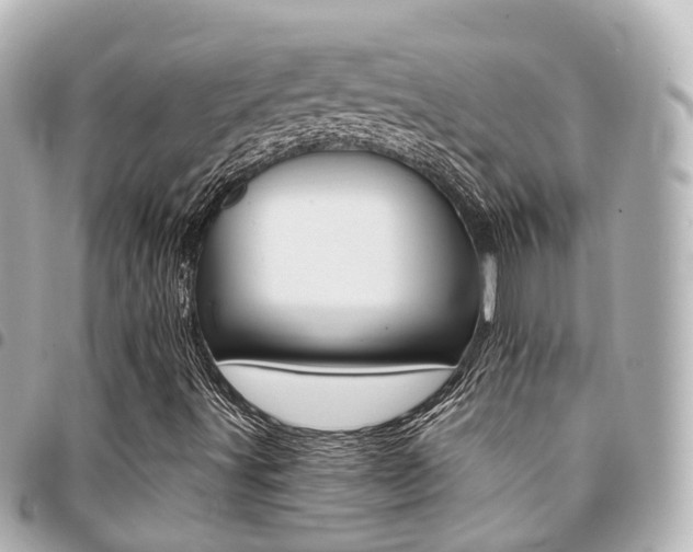 X0000094451491200711081036