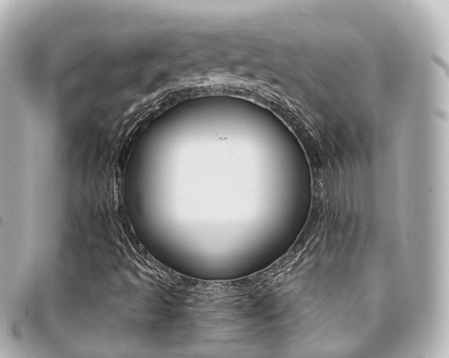 X0000094451493200711081036