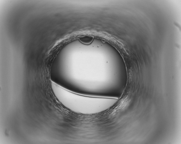 X0000094451494200711081036