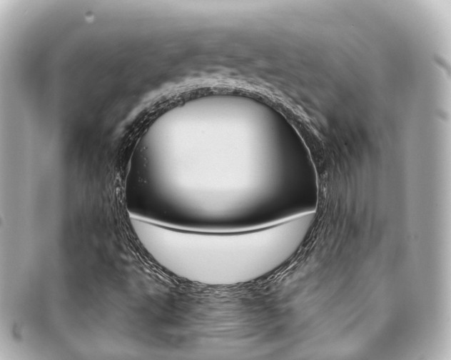 X0000094451495200711081036