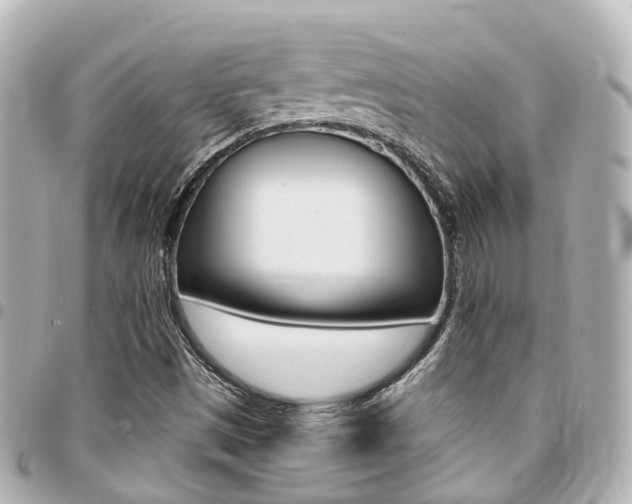 X0000094451497200711081036