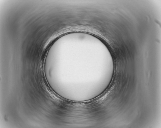 X0000094451498200711081036