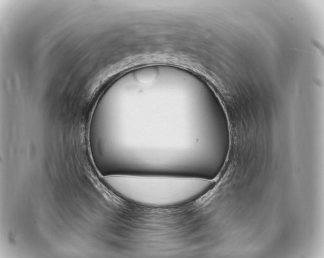 X0000094451499200711081036
