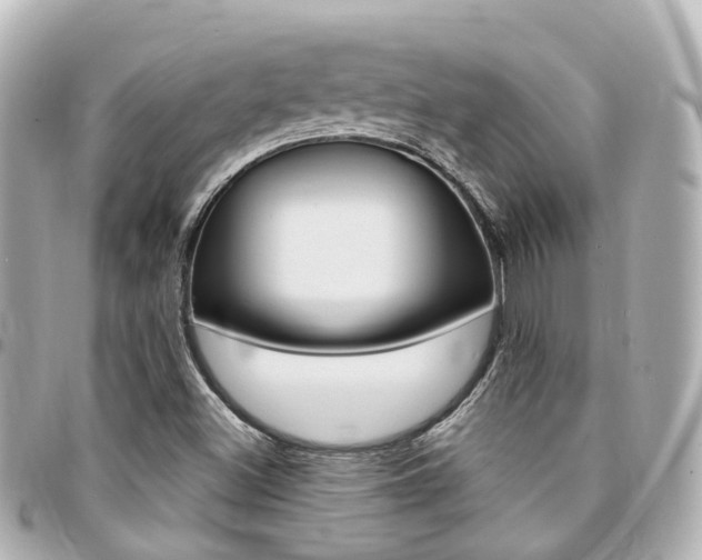 X0000094451500200711081036