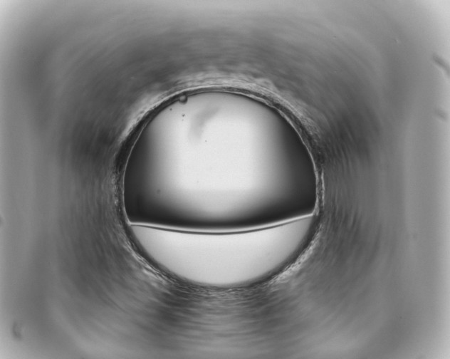 X0000094451501200711081036