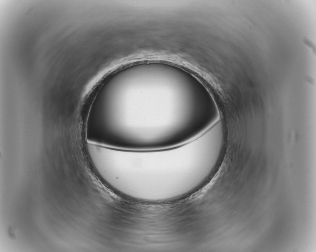 X0000094451502200711081036