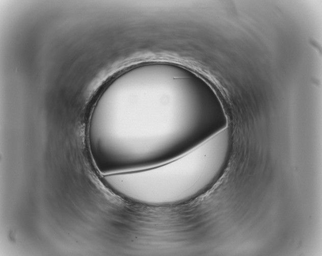 X0000094451503200711081036