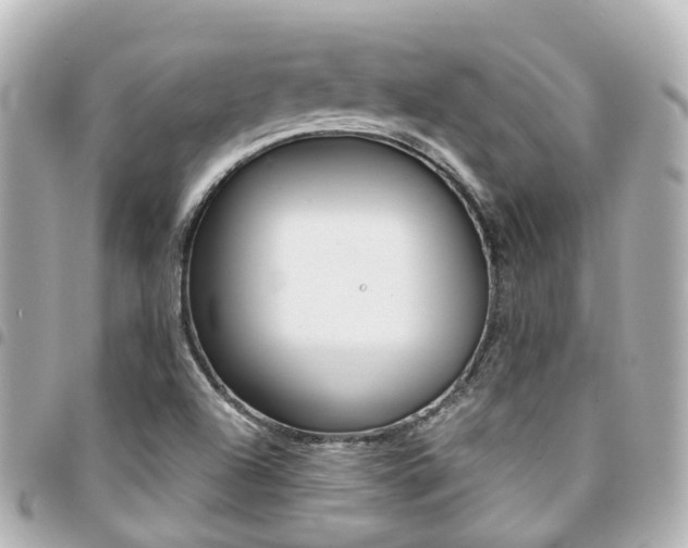 X0000094451504200711081036