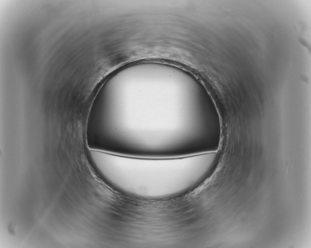 X0000094451505200711081036