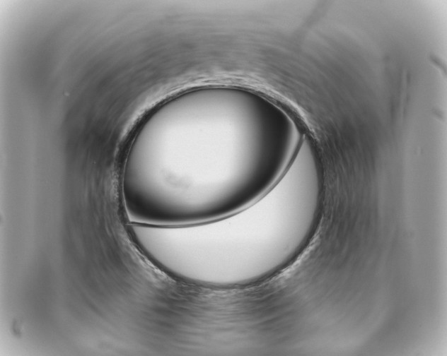 X0000094451506200711081036
