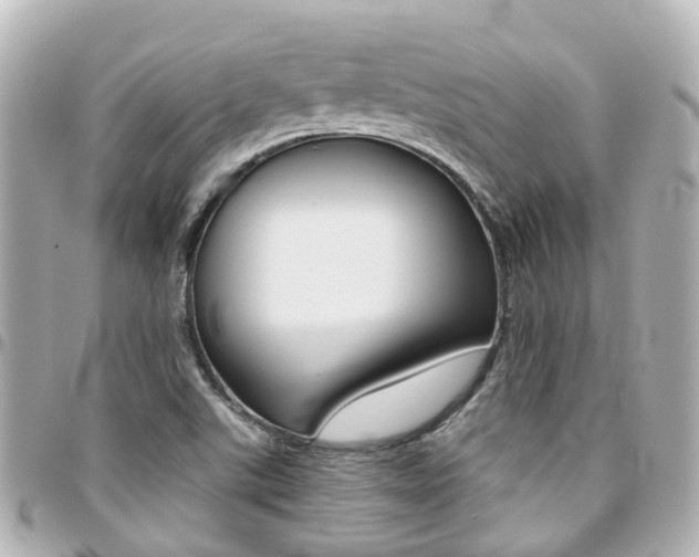X0000094451507200711081036