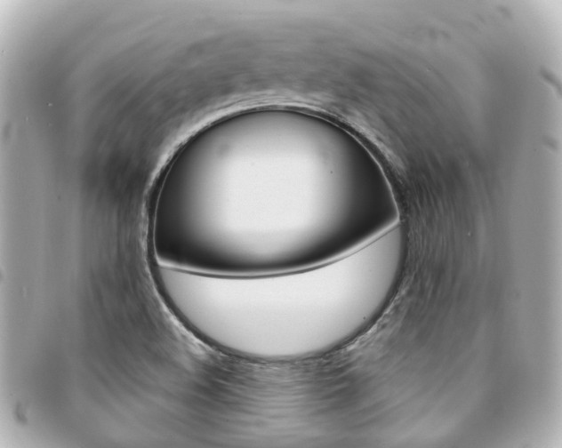 X0000094451508200711081036