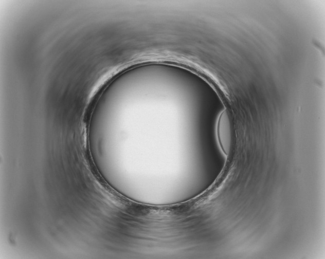 X0000094451509200711081036
