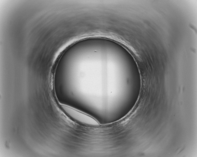 X0000094451510200711081036