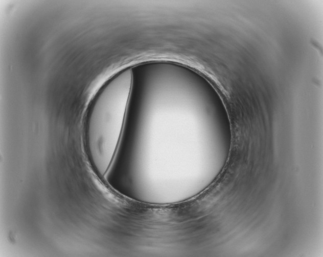 X0000094451511200711081036