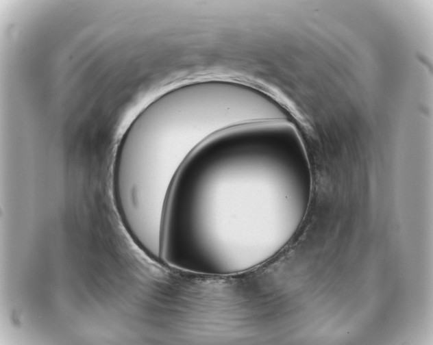 X0000094451512200711081036