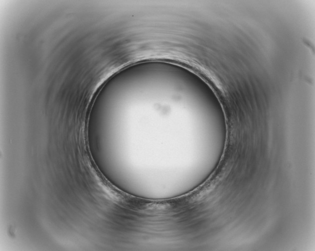 X0000094451513200711081036