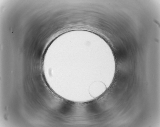 X0000094451514200711081036