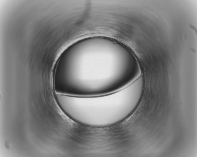 X0000094451516200711081036