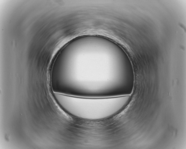 X0000094451517200711081036