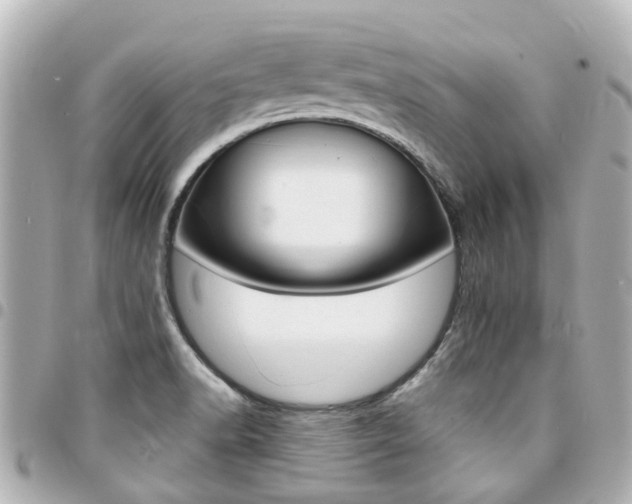 X0000094451518200711081036