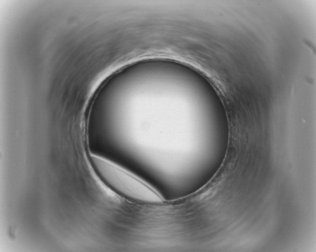 X0000094451519200711081036