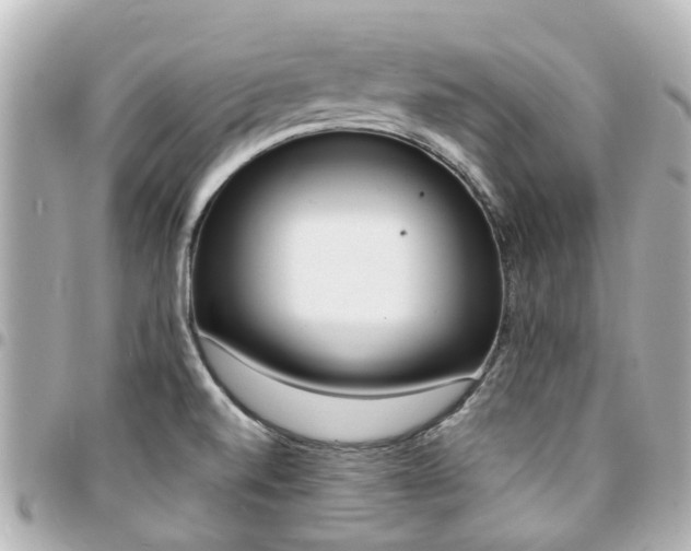 X0000094451520200711081036