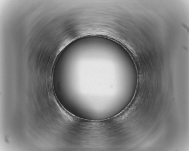 X0000094451521200711081036