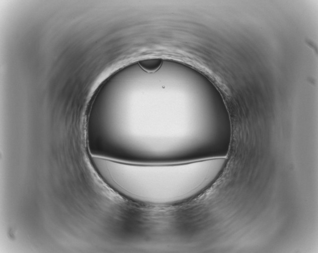 X0000094451522200711081036