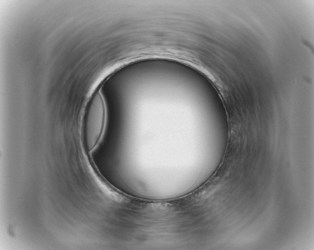 X0000094451523200711081036