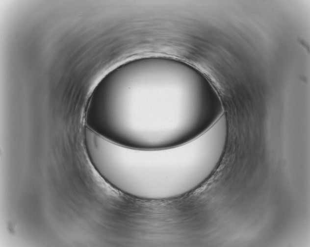 X0000094451524200711081036