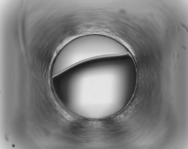 X0000094451525200711081036