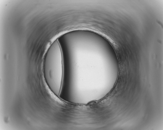 X0000094451526200711081036