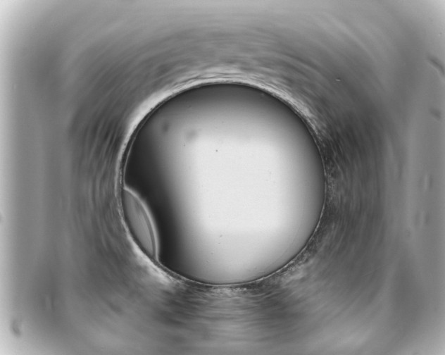 X0000094451527200711081036