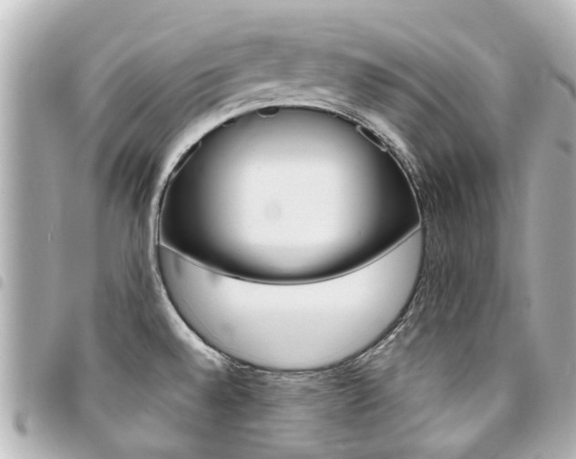 X0000094451528200711081036