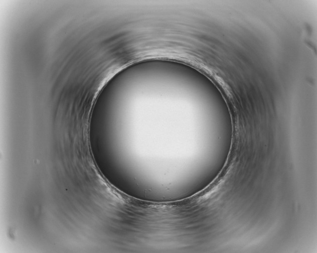 X0000094451529200711081036