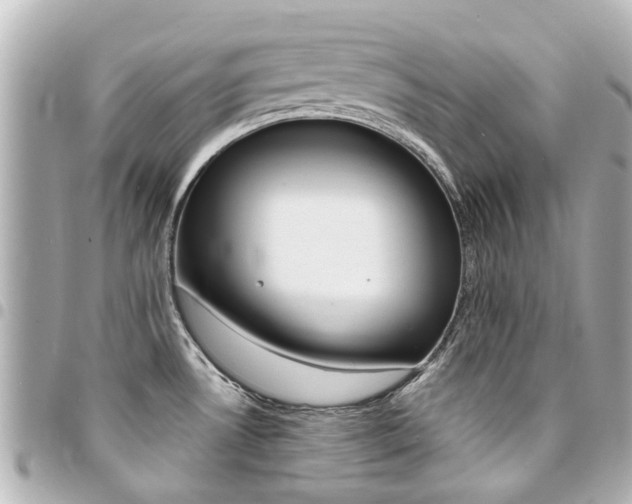 X0000094451530200711081036
